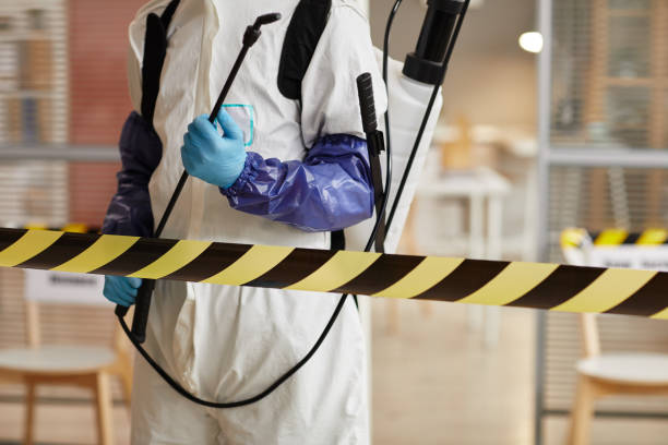 Professional Hoarding Cleanup technician working in Westwood, CA